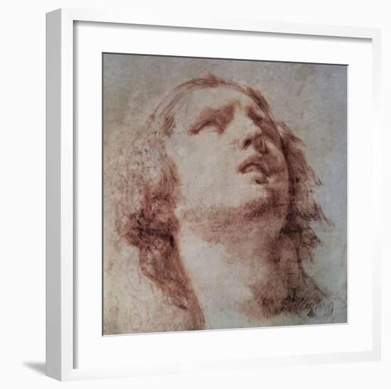 Study of a Head Looking Up-Pietro Berrettini-Framed Art Print