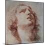 Study of a Head Looking Up-Pietro Berrettini-Mounted Art Print