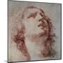 Study of a Head Looking Up-Pietro Berrettini-Mounted Art Print