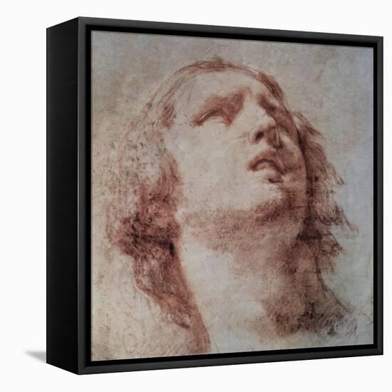 Study of a Head Looking Up-Pietro Berrettini-Framed Stretched Canvas