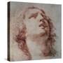 Study of a Head Looking Up-Pietro Berrettini-Stretched Canvas