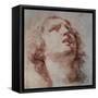 Study of a Head Looking Up-Pietro Berrettini-Framed Stretched Canvas