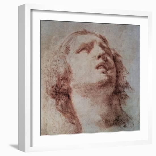 Study of a Head Looking Up-Pietro Berrettini-Framed Art Print