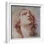 Study of a Head Looking Up-Pietro Berrettini-Framed Art Print