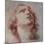 Study of a Head Looking Up-Pietro Berrettini-Mounted Art Print