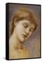 Study of a Head (Oil on Panel)-Edward Coley Burne-Jones-Framed Stretched Canvas