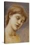 Study of a Head (Oil on Panel)-Edward Coley Burne-Jones-Stretched Canvas