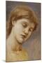 Study of a Head (Oil on Panel)-Edward Coley Burne-Jones-Mounted Giclee Print