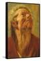 Study of a Head, or Head of an Apostle, C.1620-Jacob Jordaens-Framed Stretched Canvas