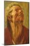 Study of a Head, or Head of an Apostle, C.1620-Jacob Jordaens-Mounted Giclee Print