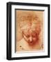 Study of a Head-Parmigianino-Framed Premium Giclee Print