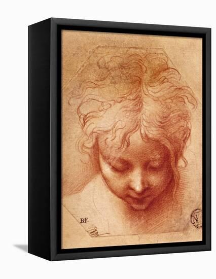 Study of a Head-Parmigianino-Framed Stretched Canvas