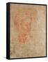 Study of a Head-Michelangelo Buonarroti-Framed Stretched Canvas