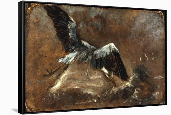 Study of a Heron (Verso)-John Constable-Framed Stretched Canvas