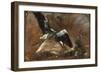 Study of a Heron (Verso)-John Constable-Framed Giclee Print