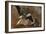 Study of a Heron (Verso)-John Constable-Framed Giclee Print