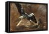 Study of a Heron (Verso)-John Constable-Framed Stretched Canvas