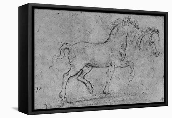 'Study of a Horse and of a Horse's Head', c1480 (1945)-Leonardo Da Vinci-Framed Stretched Canvas