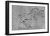 'Study of a Horse and of a Horse's Head', c1480 (1945)-Leonardo Da Vinci-Framed Giclee Print