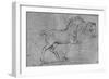 'Study of a Horse and of a Horse's Head', c1480 (1945)-Leonardo Da Vinci-Framed Giclee Print