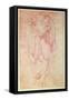 Study of a Horse and Rider, C.1481-Leonardo da Vinci-Framed Stretched Canvas