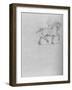 'Study of a Horse', c1480 (1945)-Leonardo Da Vinci-Framed Giclee Print