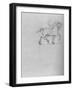 'Study of a Horse', c1480 (1945)-Leonardo Da Vinci-Framed Giclee Print