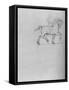 'Study of a Horse', c1480 (1945)-Leonardo Da Vinci-Framed Stretched Canvas