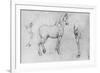 'Study of a Horse, its Near Hind-Leg and its Hind-Quarters', c1480 (1945)-Leonardo Da Vinci-Framed Giclee Print