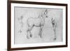 'Study of a Horse, its Near Hind-Leg and its Hind-Quarters', c1480 (1945)-Leonardo Da Vinci-Framed Giclee Print