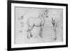 'Study of a Horse, its Near Hind-Leg and its Hind-Quarters', c1480 (1945)-Leonardo Da Vinci-Framed Giclee Print