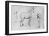 'Study of a Horse, its Near Hind-Leg and its Hind-Quarters', c1480 (1945)-Leonardo Da Vinci-Framed Giclee Print