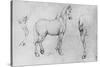 'Study of a Horse, its Near Hind-Leg and its Hind-Quarters', c1480 (1945)-Leonardo Da Vinci-Stretched Canvas