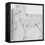 'Study of a Horse Marked Out for Measurement', c1480 (1945)-Leonardo Da Vinci-Framed Stretched Canvas