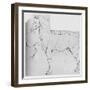 'Study of a Horse Marked Out for Measurement', c1480 (1945)-Leonardo Da Vinci-Framed Giclee Print