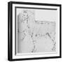 'Study of a Horse Marked Out for Measurement', c1480 (1945)-Leonardo Da Vinci-Framed Giclee Print