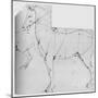 'Study of a Horse Marked Out for Measurement', c1480 (1945)-Leonardo Da Vinci-Mounted Giclee Print