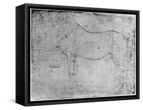 Study of a Horse-Leonardo da Vinci-Framed Stretched Canvas