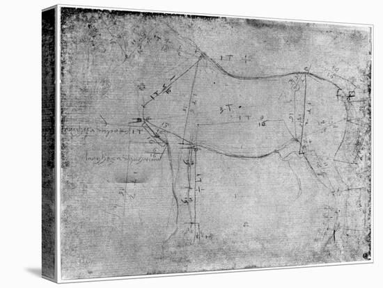 Study of a Horse-Leonardo da Vinci-Stretched Canvas