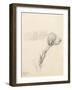 Study of a Hound, 1794 (Pencil on Paper)-George Morland-Framed Giclee Print