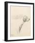 Study of a Hound, 1794 (Pencil on Paper)-George Morland-Framed Giclee Print