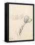 Study of a Hound, 1794 (Pencil on Paper)-George Morland-Framed Stretched Canvas