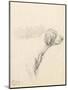 Study of a Hound, 1794 (Pencil on Paper)-George Morland-Mounted Premium Giclee Print