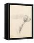 Study of a Hound, 1794 (Pencil on Paper)-George Morland-Framed Stretched Canvas