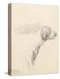 Study of a Hound, 1794 (Pencil on Paper)-George Morland-Stretched Canvas