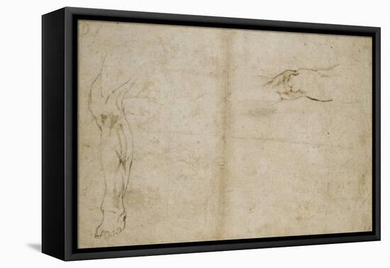 Study of a Human Leg, 16th Century-Michelangelo Buonarroti-Framed Stretched Canvas