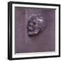 Study of a Human Skull, 1521-Albrecht Dürer-Framed Premium Giclee Print