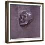 Study of a Human Skull, 1521-Albrecht Dürer-Framed Giclee Print