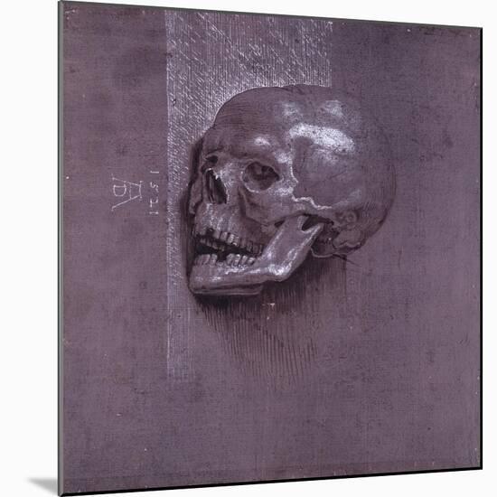 Study of a Human Skull, 1521-Albrecht Dürer-Mounted Giclee Print