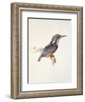 Study of a Kingfisher, with Dominant Reference to Colour, Probably October 1871-John Ruskin-Framed Giclee Print